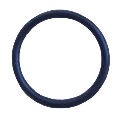 Уплотнительное кольцо ЭМК ВЕСТ d31мм, товар из каталога Запчасти для газовых колонок - компания Вест